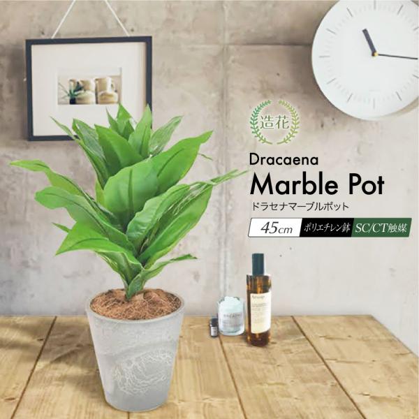 フェイクグリーン 卓上 人工 観葉植物 造花 ミニ ドラセナ リアル 光触媒 CT触媒 消臭 鉢植 ...