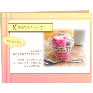 まるでスイーツ?スイーツ プリザーブドフラワー...の詳細画像1
