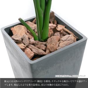 フェイクグリーン オーガスタ 観葉植物 人工観...の詳細画像3