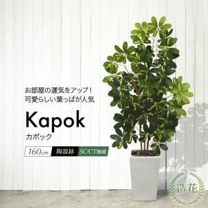 フェイクグリーン 観葉植物 人工観葉 大型 光触媒 造花 シェフレラ ナチュラル カポックツリー 斑入り 160cm 鉢植 インテリア リアル｜k-hana