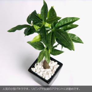 フェイクグリーン ミニ 卓上 人工 観葉植物 ...の詳細画像1