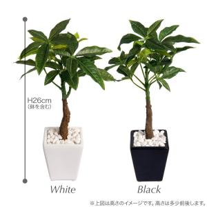 フェイクグリーン ミニ 卓上 人工 観葉植物 ...の詳細画像4