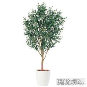 メーカー直送｜フェイクグリーン 大型 ライプオリーブ 200cm 鉢植 観葉植物 造花 人工観葉植物 インテリア 91392