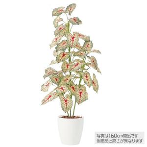 光触媒　人工観葉植物　フェイクグリーン　ストレリチアオーガスタMIX 光触媒 人工観葉植物 フェイクグリーン ストレリチアオーガスタMIX