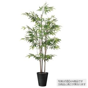 人気のファッションブランド アートグリーン インテリアグリーン フェイクグリーン 11a150 送料無料 黒竹 南天1 0 大型 観葉植物 人工観葉植物 開業祝い 新築祝い 開店祝い その他観葉植物 Carnespremiumxo Com