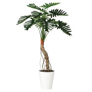 大きな葉 ジャイアント ポトス タワー 180cm (インテリア グリーン