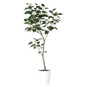 人工観葉植物 フェイクグリーン 観葉植物 造花 光触媒 大型 インドボダイジュ Fst 180cm 鉢植 菩提樹 フィカス インテリア Ct触媒 Tk Tk フェイクグリーンの神戸花物語 通販 Yahoo ショッピング
