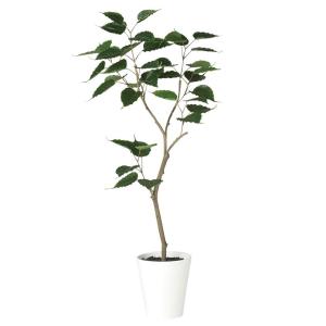 人工観葉植物 ユッカ ロストラータ ポット 120 （1個入り） MIRAKANA
