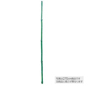 フェイクグリーン 青竹1本幹 (バンブー) 15...の商品画像