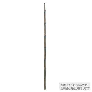 人工観葉植物 黒竹1本幹 (バンブー) 150cm 大型 フェイクグリーン 観葉植物 造花 光触媒 ...