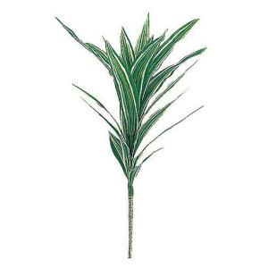 フェイクグリーン オモト 30cm 人工観葉植物...の商品画像