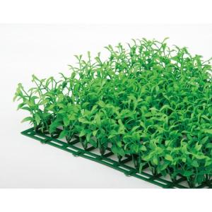 人工観葉植物 ミニフェザーグラスマット 26cm 観葉植物 造花 フェイクグリーン 光触媒 Ct触媒 インテリア の最安値 価格比較 送料無料検索 Yahoo ショッピング