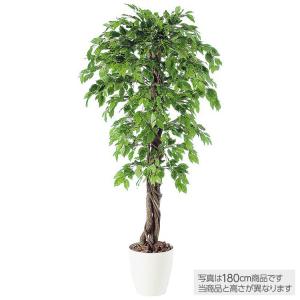 メーカー直送｜フェイクグリーン 大型 ベンジャミナスプラッシュリアナ (ベンジャミン) 200cm 鉢植 観葉植物 造花 人工観葉植物 インテリア 98532