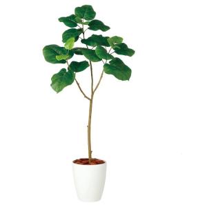 神戸花物語 フェイクグリーン 観葉植物 人工観葉 大型 光触媒 フィカス
