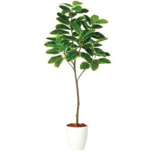 神戸花物語 フェイクグリーン 観葉植物 人工観葉 大型 光触媒 フィカス