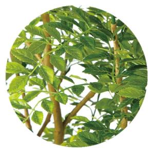 フェイクグリーン 観葉植物 人工観葉 大型 光...の詳細画像1