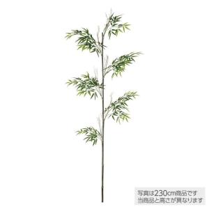 フェイクグリーン 大型 黒竹1本立 (バンブー) 270cm 観葉植物 造花 人工観葉植物 インテリア 99223の商品画像