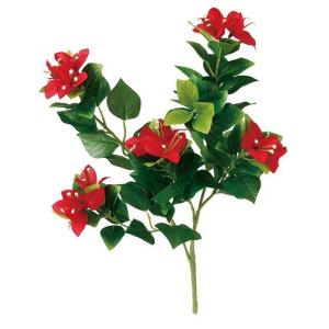 ブーゲンビリアの商品一覧 通販 Yahoo ショッピング