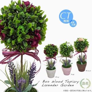 フェイクグリーン 観葉植物 人工観葉 卓上 ミニ...の商品画像