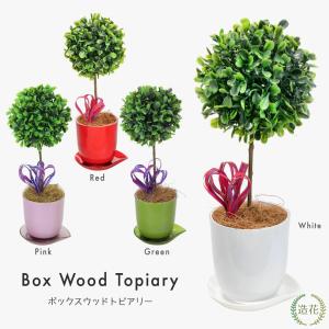 フェイクグリーン 観葉植物 人工観葉 卓上 ミニ...の商品画像