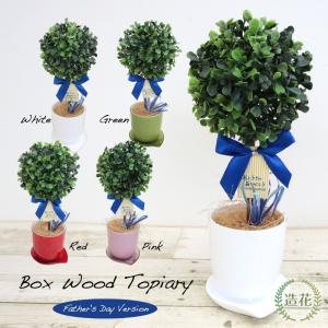 フェイクグリーン 観葉植物 人工観葉 卓上 ミニ...の商品画像