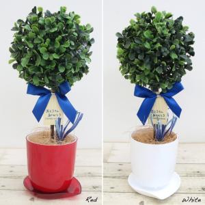 フェイクグリーン 観葉植物 人工観葉 卓上 ミ...の詳細画像1
