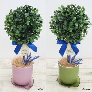 フェイクグリーン 観葉植物 人工観葉 卓上 ミ...の詳細画像2