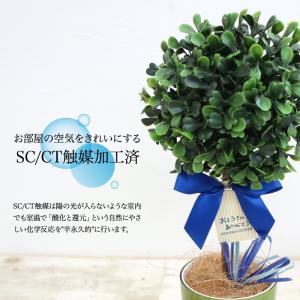 フェイクグリーン 観葉植物 人工観葉 卓上 ミ...の詳細画像3