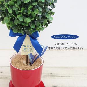 フェイクグリーン 観葉植物 人工観葉 卓上 ミ...の詳細画像4
