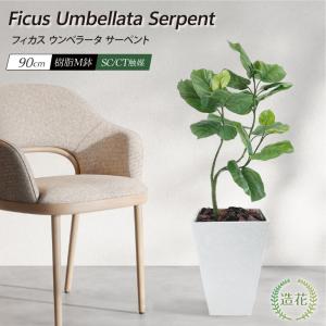 フェイクグリーン ウンベラータ 観葉植物 人工観葉 大型 光触媒 CT触媒 インテリア おしゃれ リアル / フィカス ウンベラータ サーペント 90cm 樹脂鉢Mサイズ