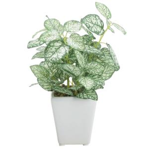 フェイクグリーン 観葉植物 人工観葉 卓上 ミニ 小さい 光触媒 造花 ロマンスの観葉 ペペロミアminiポット 陶器鉢 インテリア おしゃれ お祝い F3449 母の日