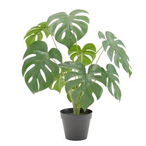 神戸花物語 フェイクグリーン 観葉植物 人工観葉 大型 光触媒 エコ