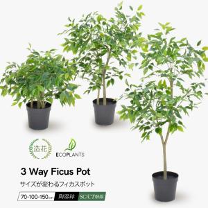 神戸花物語 フェイクグリーン 観葉植物 人工観葉 大型 光触媒 ツイスト