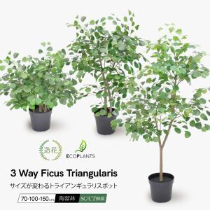 神戸花物語 フェイクグリーン 観葉植物 人工観葉 大型 光触媒 エコ