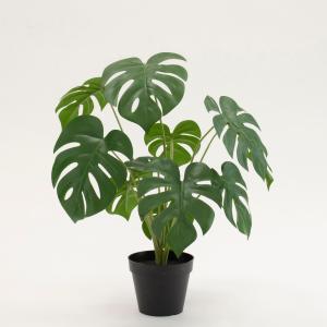 光触媒　人工観葉植物　フェイクグリーン　ツイストウンベラータ1.6 フェイクグリーン ツイストウンベラータ H約160cm 鉢付き / 観葉