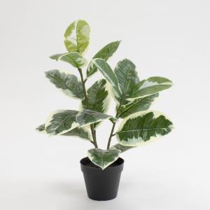 神戸花物語 フェイクグリーン 観葉植物 人工観葉 大型 光触媒 フェイク
