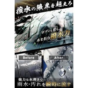 嵐神 プレミアムグラフェンコート 車 ボディ ...の詳細画像3