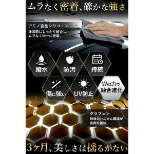 嵐神 プレミアムグラフェンコート 車 ボディ ...の詳細画像5