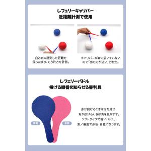 ボッチャ ボール セット 公式規格 エンジョイ...の詳細画像4