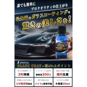 未塗装樹脂コーティング 車 黒樹脂復活 樹脂コ...の詳細画像1
