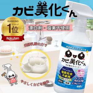 空クマさん専用! Mol clear Pro プロフェッショナルカビ除去スプレー モルクリアプロ｜ホコニコオンラインショップ