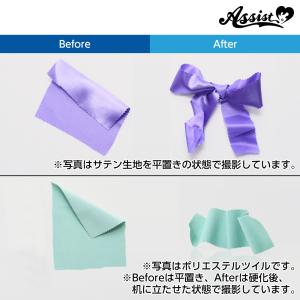 アシストウィッグ【生地硬化スプレー】アシストオ...の詳細画像5