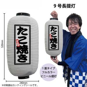 44161 フルカラー ビニール 提灯 ちょうちん かき氷 9号長 白 1面印刷