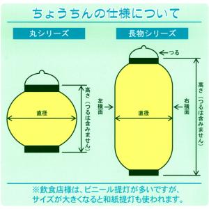 44515 九号長 提灯 煮込み 二面印刷 素...の詳細画像1