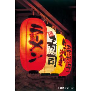 44515 九号長 提灯 煮込み 二面印刷 素...の詳細画像2