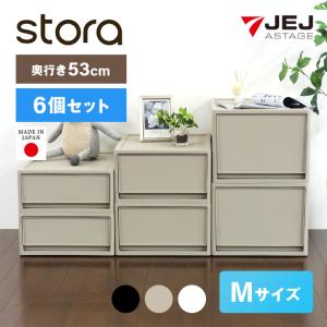 JEJアステージ 収納ボックス 衣装ケース (ストラ クローゼット用 L