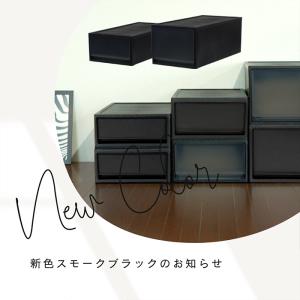 収納ボックス 衣装ケース (ストラ 押入れ用 ...の詳細画像2
