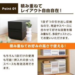 収納ボックス 衣装ケース (ストラ 押入れ用 ...の詳細画像5