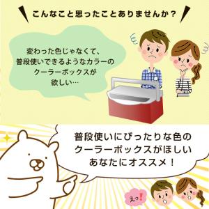 収納ボックス クーラーボックス フォレスクルー...の詳細画像1