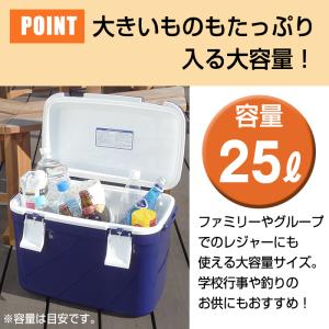 収納ボックス クーラーボックス フォレスクルー...の詳細画像3